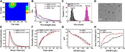 Gold Nanocluster-Encapsulated Hyperbranched Polyethyleneimine for Selective and Ratiometric Dopamine Analyses by Enhanced Self-Polymerization